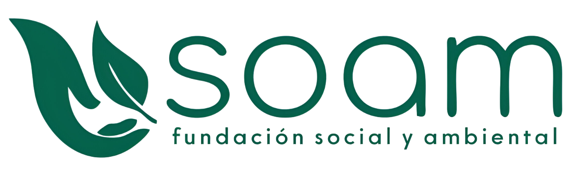 whatsapp image 2025 12 18 at 10.51.53 pm photoroom